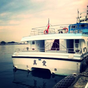 真愛碼頭