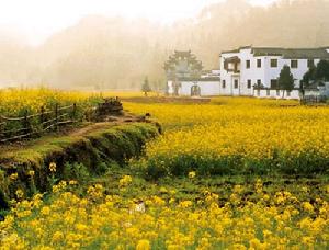 《吹奏吹奏樂樂》