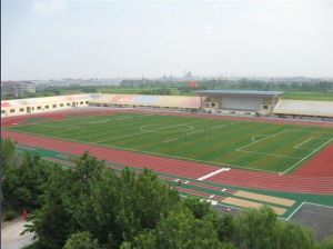 金華實驗中學 金華實驗中學