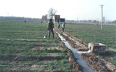 黃淮海平原 黃淮海平原