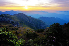 牛背梁國家森林公園 牛背梁國家森林公園