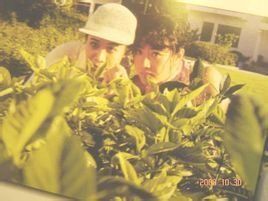 愛情女偵探 愛情女偵探