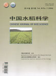 《中國水稻科學》
