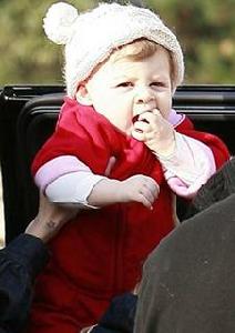 哈露&middot;馬登