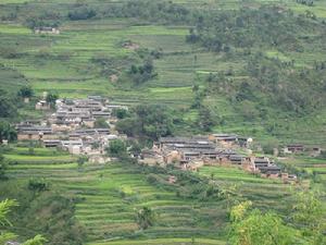 河底村[雲南楚雄市樹苴鄉下轄村]