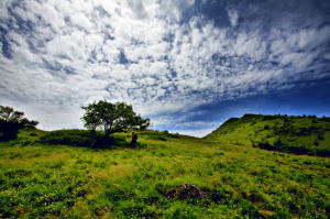 紅池壩高山草場 紅池壩高山草場