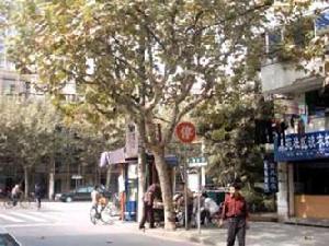 海洲麗園一期二期 海洲麗園一期二期