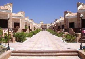 埃及艾因夏姆斯大學 埃及艾因夏姆斯大學