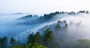 涼水國家級自然保護區 涼水國家級自然保護區