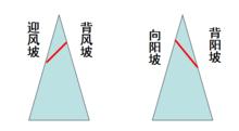 雪線[漢語詞語]