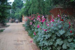 盛家莊村 盛家莊村