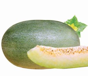 王子一號 王子一號