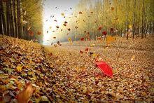 秋風[漢語辭彙]