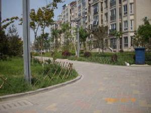 外海西子城市花園二期 外海西子城市花園二期