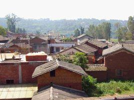 大河口村[雲南姚安縣大河口鄉下轄村]
