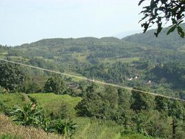 秀雅自然村 秀雅自然村