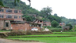 分水村[四川成都市龍泉驛區大面街道下轄村]