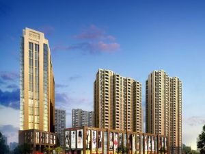 芒果天地 芒果天地