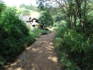 老寨第二自然村 老寨第二自然村