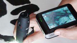 藏品鑑定 藏品鑑定