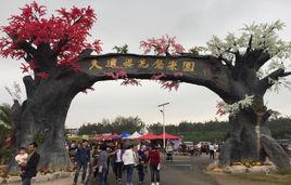 天適櫻花悠樂園