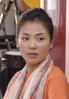 我和丈母娘的十年戰爭[2012年歸亞蕾主演電視劇]