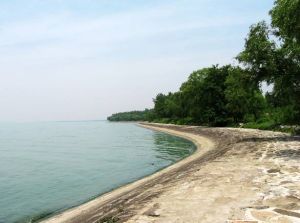 周橋大塘 周橋大塘