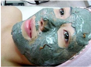 蟑螂面膜 蟑螂面膜