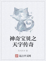 神奇寶貝之天宇傳奇 神奇寶貝之天宇傳奇