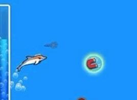 跳躍的海豚 跳躍的海豚