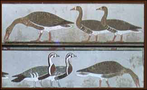 古埃及壁畫《野鵝圖》