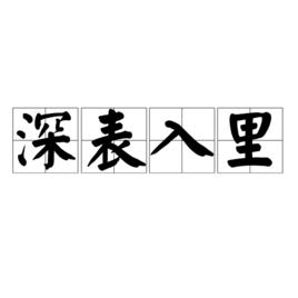 深表入里