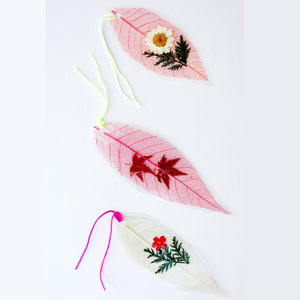 押花書籤 押花書籤