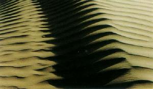 塔克拉瑪乾沙漠腹地