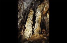 龍舌蘭洞 龍舌蘭洞