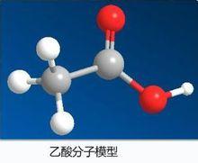 乙酸分子模型