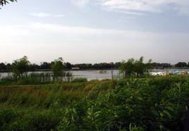 南湖國家城市濕地公園[南湖國家濕地公園]