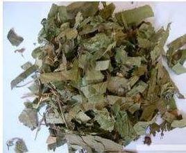 仙靈脾浸酒 仙靈脾浸酒