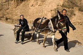 村長的公路 村長的公路