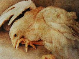 雞的壞死性腸炎