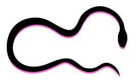 蛇的形狀 蛇的形狀