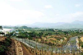 大亞灣霞涌街道 大亞灣霞涌街道