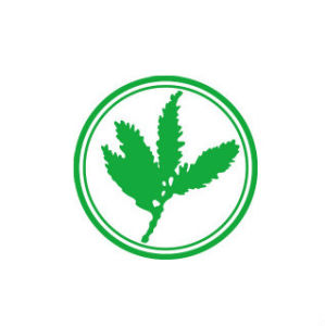 紅杉資本中國基金 紅杉資本中國基金