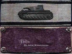 為了拆洗著裝方便，在臂章和衣服上縫釘按扣佩帶