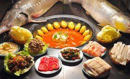 老劉野生大魚坊 老劉野生大魚坊