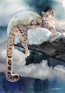 食物匱乏，奶水自然很少，三隻幼豹日漸消瘦