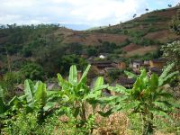 筍葉水自然村 筍葉水自然村