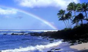 威基基黃金海岸線