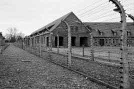 奧斯維辛集中營[納粹德國時期建立的勞動營和滅絕營]