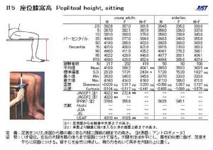 小腿加足高 小腿加足高